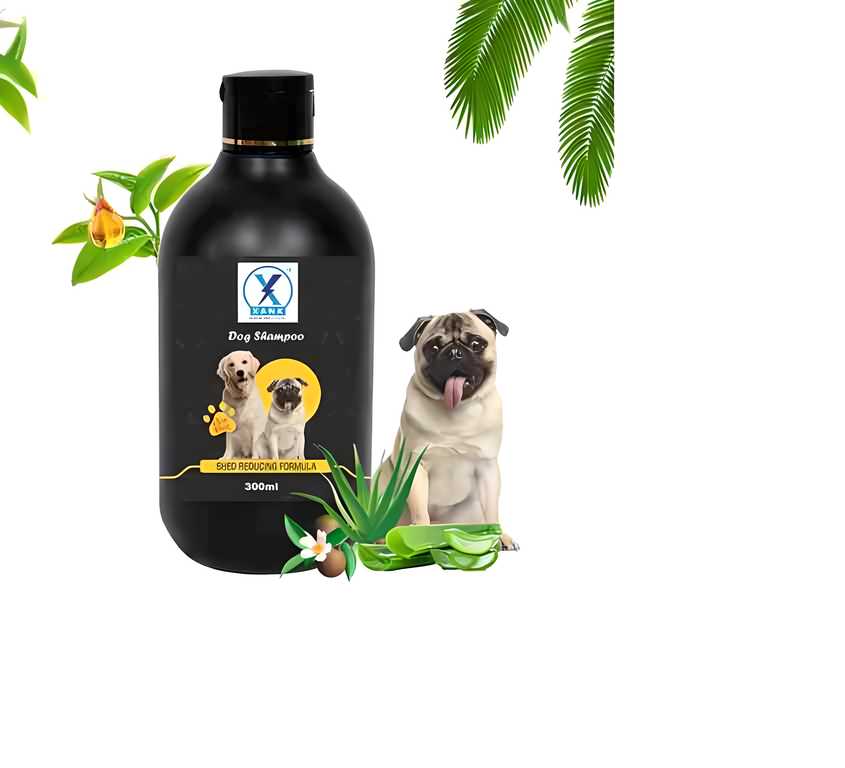 Anti-Itch Dog Shampoo|Ditch to Itch 300ml Pack of 1